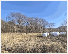  2025Ÿ326 泲 ƻ â ȭ 81-12      (1)