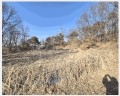  2025Ÿ326 泲 ƻ â ȭ 81-12      (1)