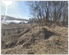  2025Ÿ326 泲 ƻ â ȭ 81-12      (1)