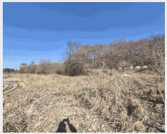  2025Ÿ326 泲 ƻ â ȭ 81-12      (1)