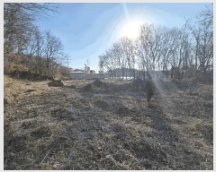  2025Ÿ326 泲 ƻ â ȭ 81-12      (1)