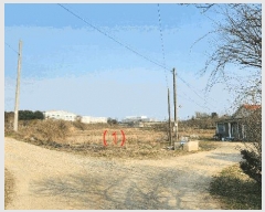  2025Ÿ409 泲 ƻ â  53-4      ()