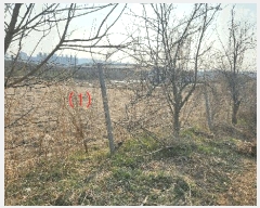  2025Ÿ409 泲 ƻ â  53-4      ()