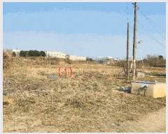  2025Ÿ409 泲 ƻ â  53-4      ()