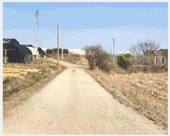  2025Ÿ409 泲 ƻ â  53-4      ()