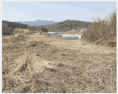  2025Ÿ��417 �泲 �ƻ�� ������ ���ϸ� 36      �ܵ�����,�����ð��