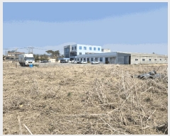  2025Ÿ��427 �泲 õ�Ƚ� ���ϱ� ��ȯ�� ���ݸ� 308-1     ������