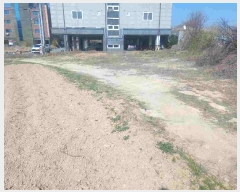  2025Ÿ445 泲 ƻ   50-86      (1)