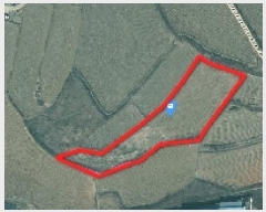  2025Ÿ��499 �泲 �ƻ�� ������ �ų��� 459-1      ����(��)���