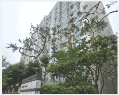  2025Ÿ��520 �泲 õ�Ƚ� ������ 2010 õ�ȵ���5��Ǫ������ 502�� 8��804ȣ    ����Ʈ���