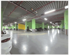  2025Ÿ��535  ����Ʈ��������