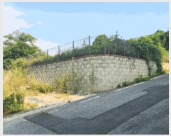  2025Ÿ616 泲 ƻ θ  482-11      (Ӿ)