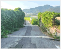  2025Ÿ616 泲 ƻ θ  482-11      (Ӿ)