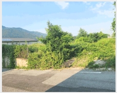  2025Ÿ616 泲 ƻ θ  482-11      (Ӿ)