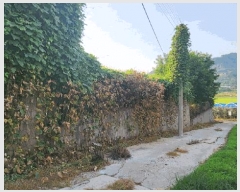  2025Ÿ616 泲 ƻ θ  482-11      (Ӿ)