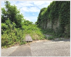  2025Ÿ616 泲 ƻ θ  482-11      (Ӿ)