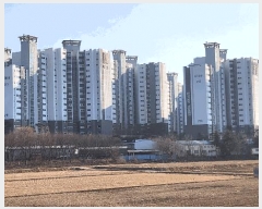 2025Ÿ10941 泲 õȽ  ǳ 769-28, 204 9903ȣ (,2ġŸƮ)   Ʈ