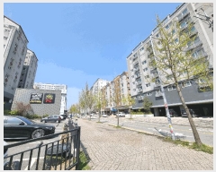  2025Ÿ��11517  ���ǽ��ڰ��