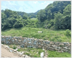  2025Ÿ��11685  �Ӿ߰��