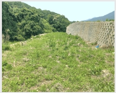  2025Ÿ��11685  �Ӿ߰��