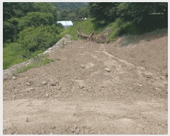  2025Ÿ��11685  �Ӿ߰��