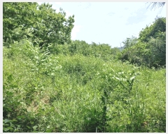  2025Ÿ11715 泲 õȽ  ǳ ǳ 22-3     (Ӿ)