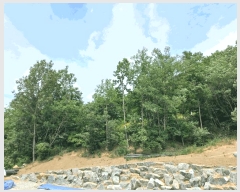  2025Ÿ11715 泲 õȽ  ǳ ǳ 22-3     (Ӿ)