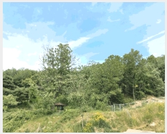  2025Ÿ11715 泲 õȽ  ǳ ǳ 22-3     (Ӿ)