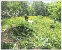  2025Ÿ11715 泲 õȽ  ǳ ǳ 22-3     (Ӿ)