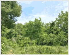  2025Ÿ11715 泲 õȽ  ǳ ǳ 22-3     (Ӿ)