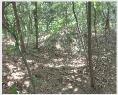  2025Ÿ11715 泲 õȽ  ǳ ǳ 22-3     (Ӿ)