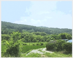  2025Ÿ��11803 �泲 õ�Ƚ� ������ �Ź浿 628      �ٸ��ü�,�󰡰��