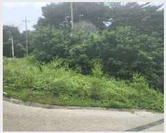  2025Ÿ��11803 �泲 õ�Ƚ� ������ �Ź浿 628      �ٸ��ü�,�󰡰��