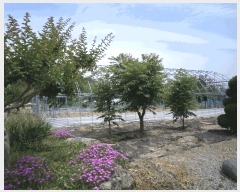  2025Ÿ11811 泲 ƻ  Ÿ 358      ()