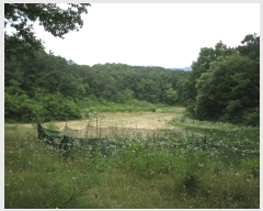  2025Ÿ11811 泲 ƻ  Ÿ 358      ()