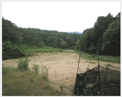  2025Ÿ11811 泲 ƻ  Ÿ 358      ()