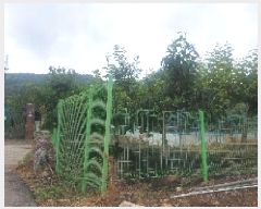  2025Ÿ11811 泲 ƻ  Ÿ 358      ()