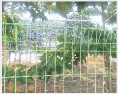  2025Ÿ11811 泲 ƻ  Ÿ 358      ()