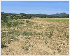  2025Ÿ��11845 �泲 õ�Ƚ� ������ ���� ������ 370-1     ����(��1)���