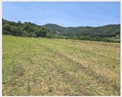  2025Ÿ��11845 �泲 õ�Ƚ� ������ ���� ������ 370-1     ����(��1)���