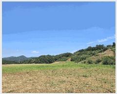  2025Ÿ��11845 �泲 õ�Ƚ� ������ ���� ������ 370-1     ����(��1)���