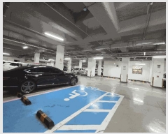  2025Ÿ��11901  ���ǽ��ڰ��