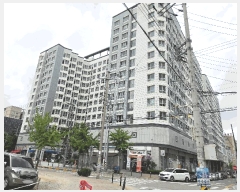  2025Ÿ��11901  ���ǽ��ڰ��