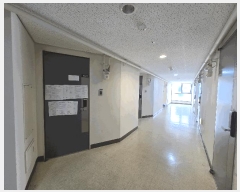  2025Ÿ��11901  ���ǽ��ڰ��