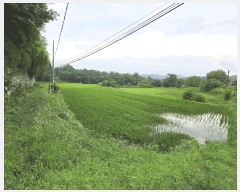  2025Ÿ��11926  ����