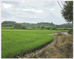  2025Ÿ��11926  ����