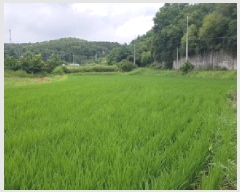  2025Ÿ��11926  ����