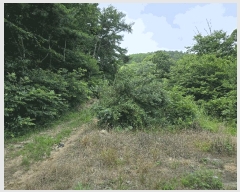  2025Ÿ��11948  �Ӿ߰��