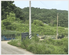  2025Ÿ��11948  �Ӿ߰��