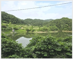  2025Ÿ��11948  �Ӿ߰��